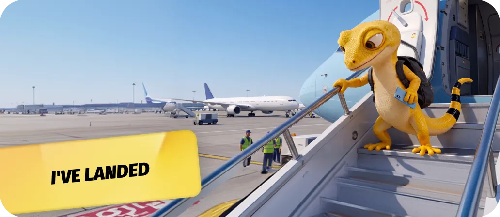 I've landed 