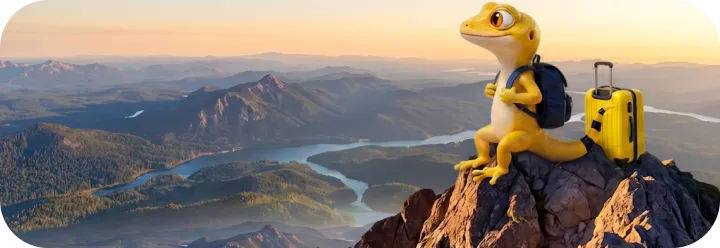 Роуминг